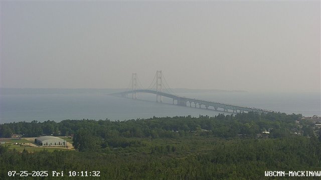 Netcam